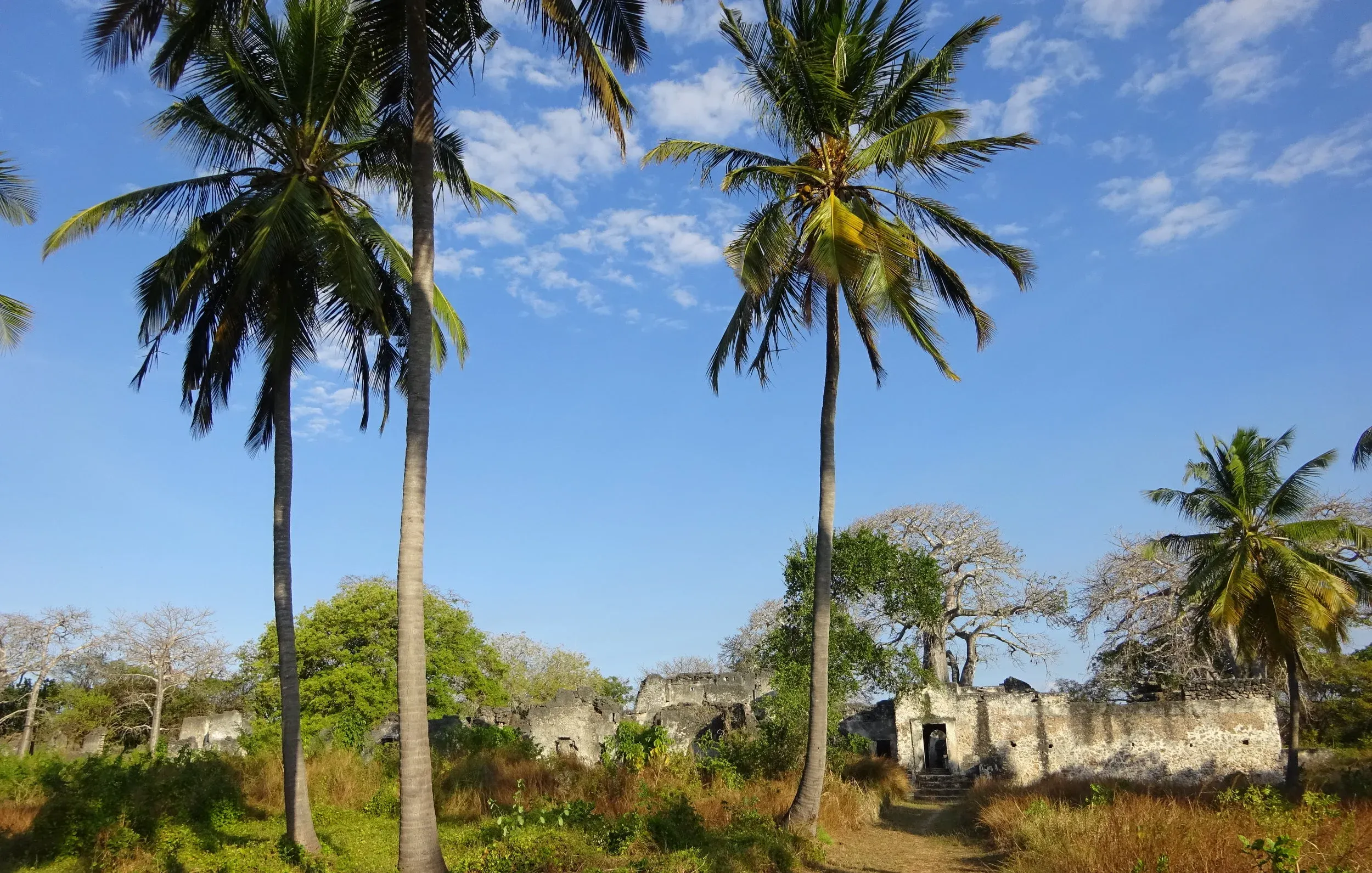 Palm trees and stone ruins at Songo Mnara archaeological site